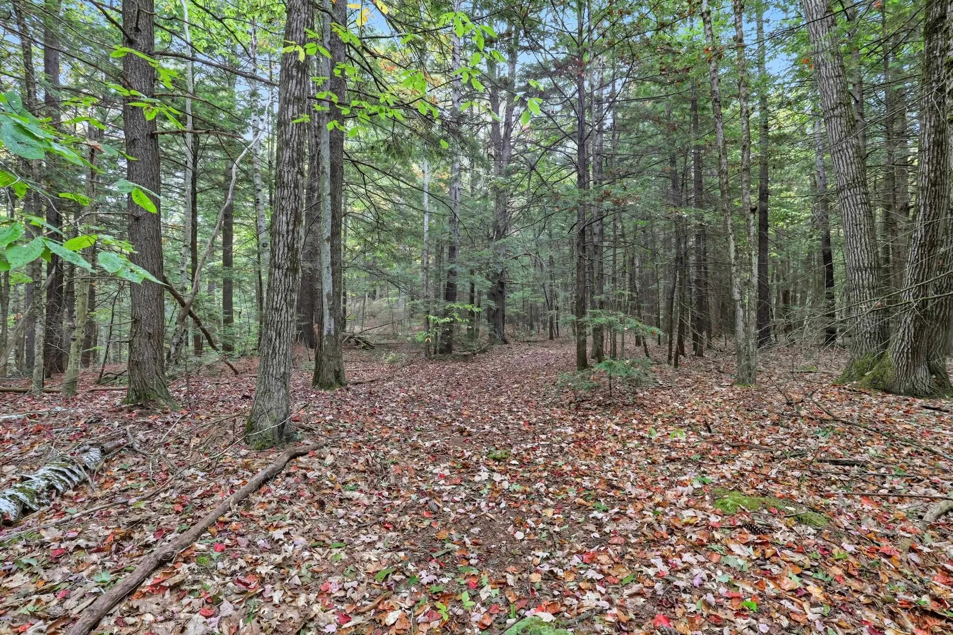 Gulf Road Sanbornton NH 03269