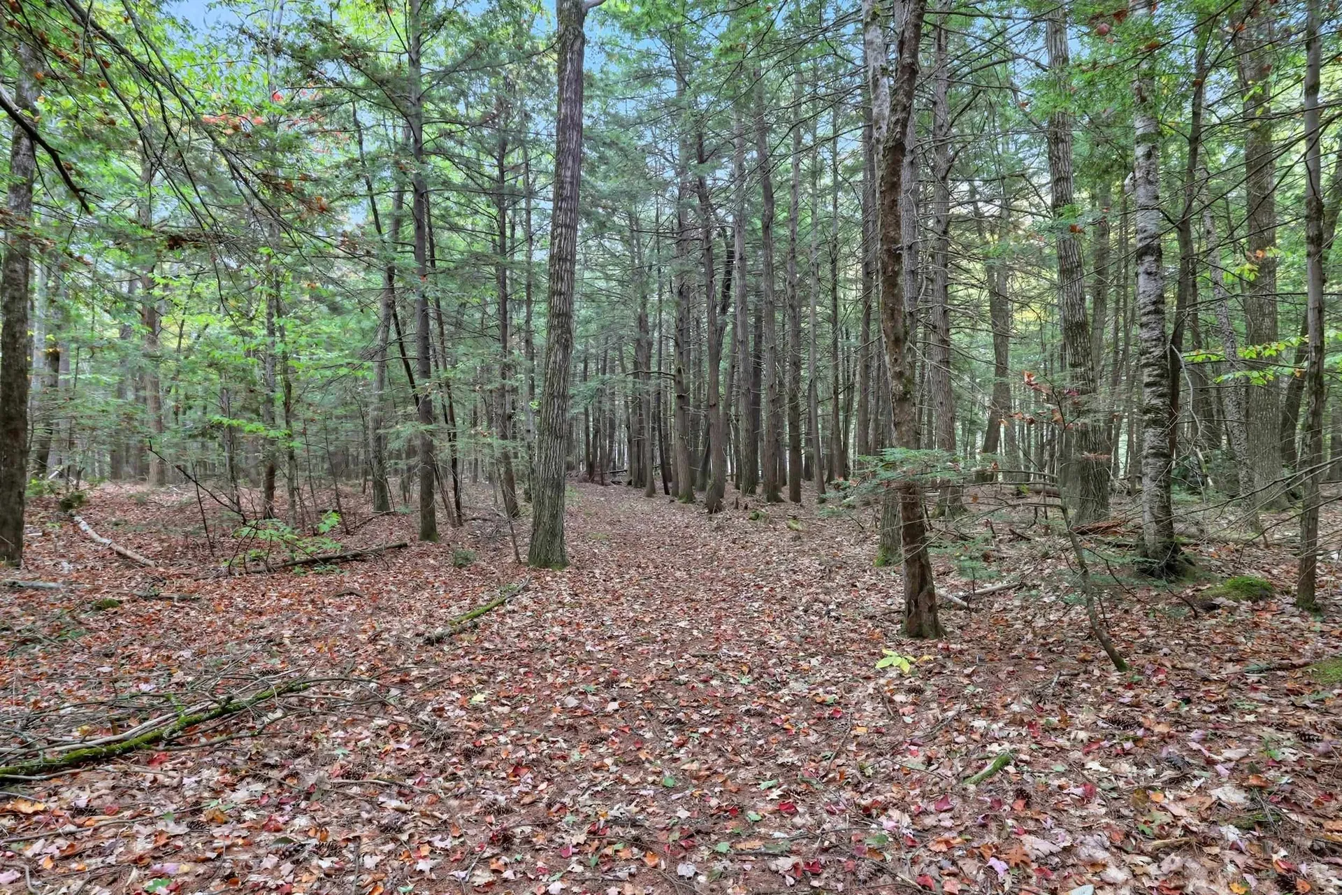 Gulf Road Sanbornton NH 03269