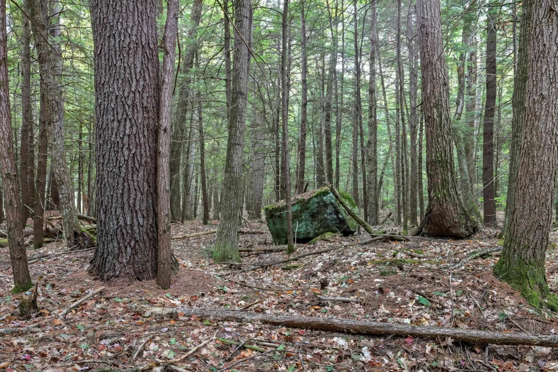 Gulf Road Sanbornton NH 03269