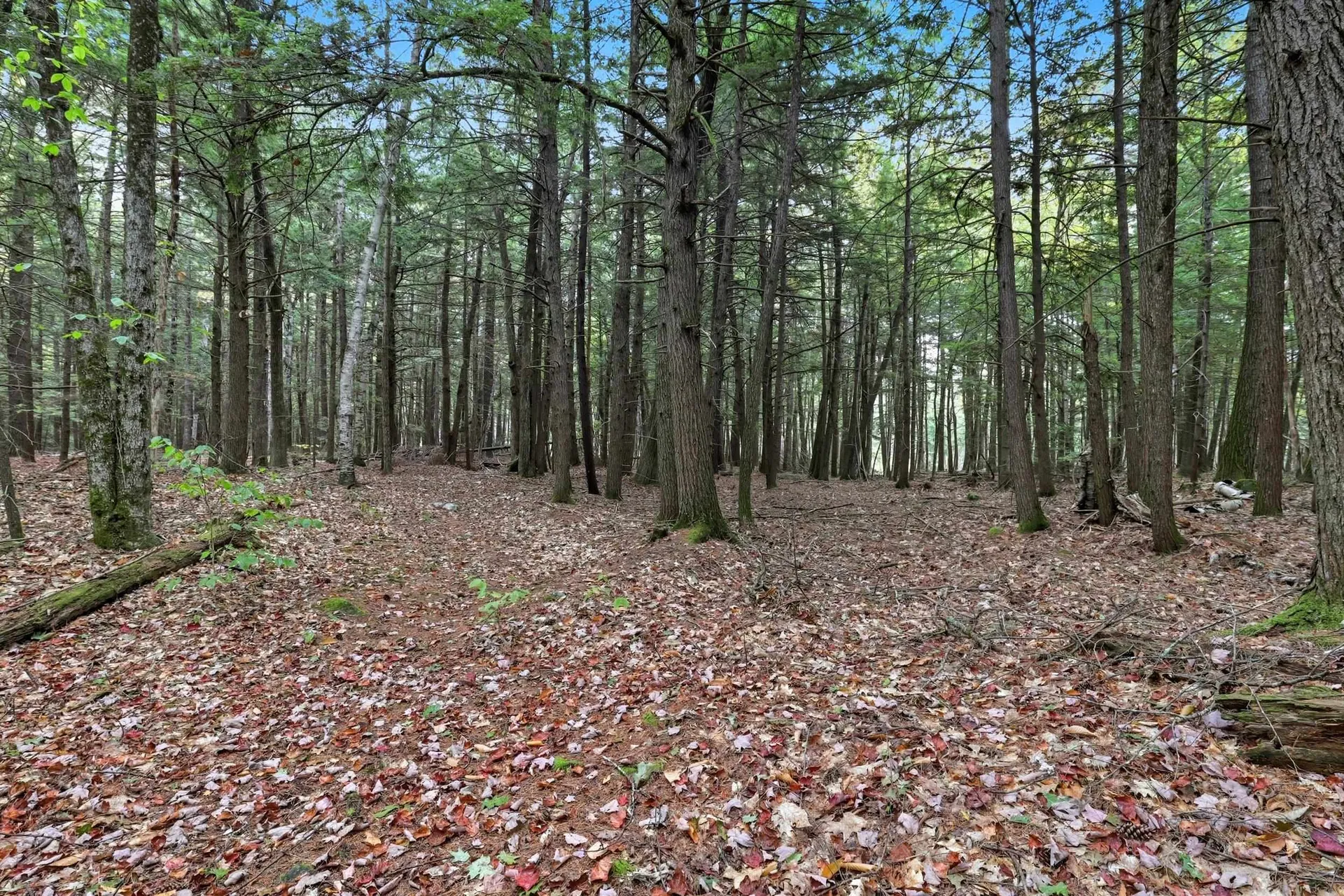 Gulf Road Sanbornton NH 03269