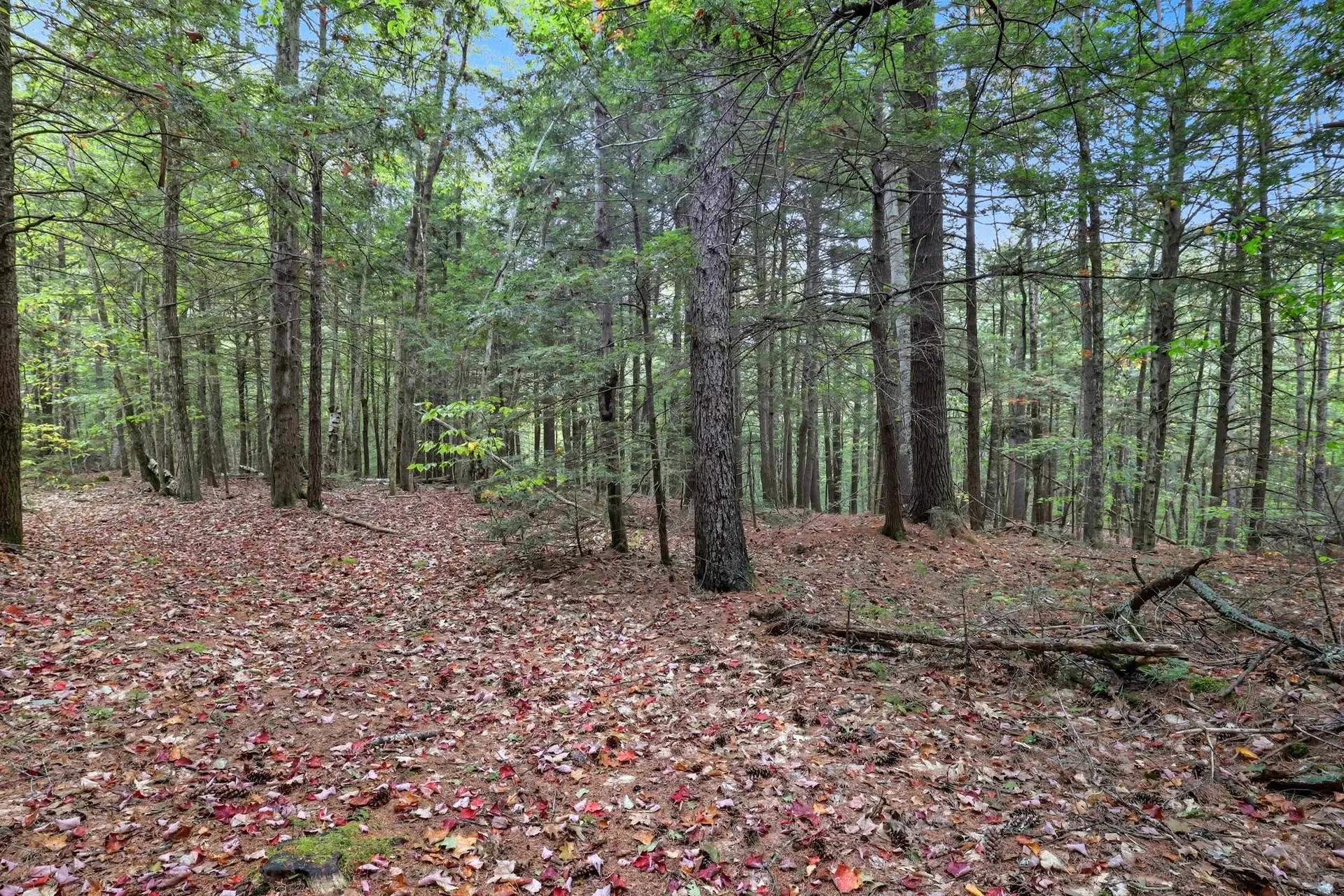 Gulf Road Sanbornton NH 03269