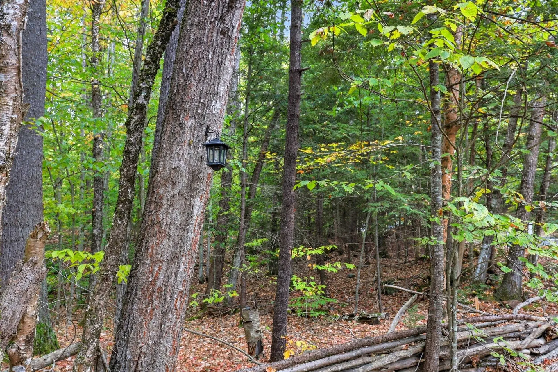 Gulf Road Sanbornton NH 03269