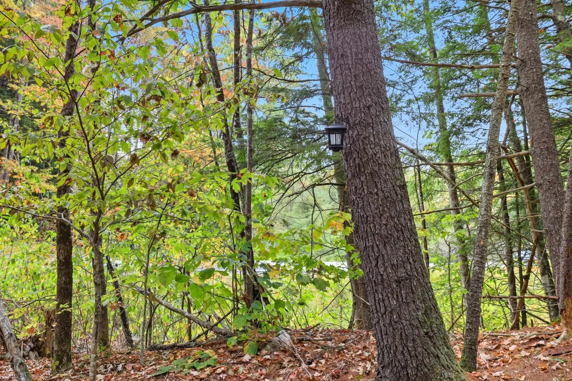 Gulf Road Sanbornton NH 03269