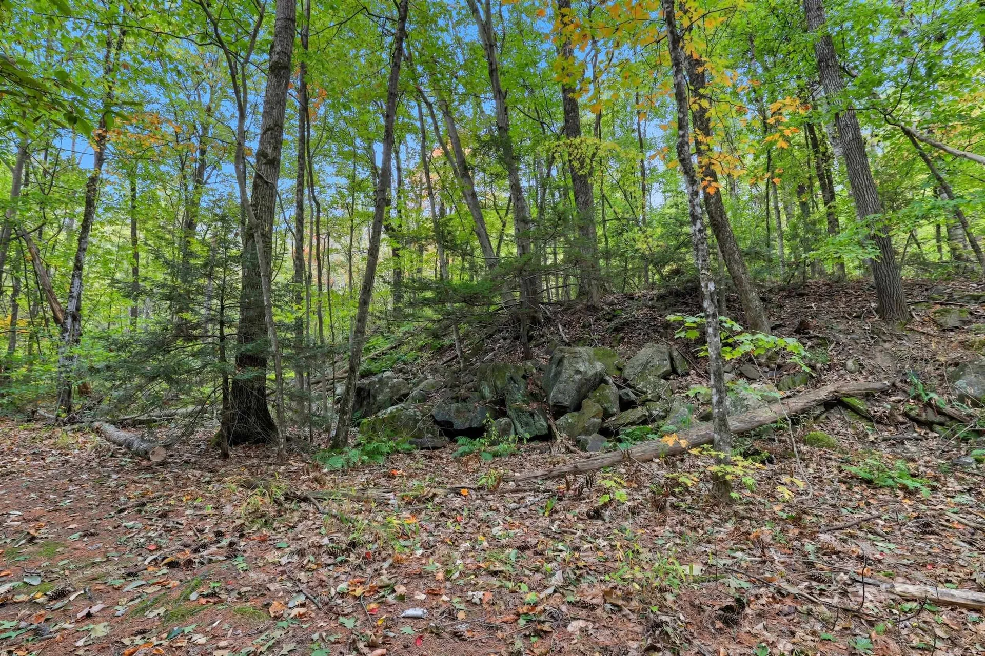 Gulf Road Sanbornton NH 03269