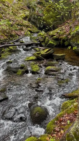 Gulf Road Sanbornton NH 03269