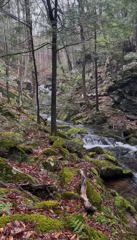 Gulf Road Sanbornton NH 03269