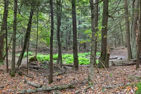 Gulf Road Sanbornton NH 03269