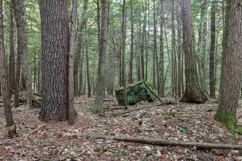 Gulf Road Sanbornton NH 03269