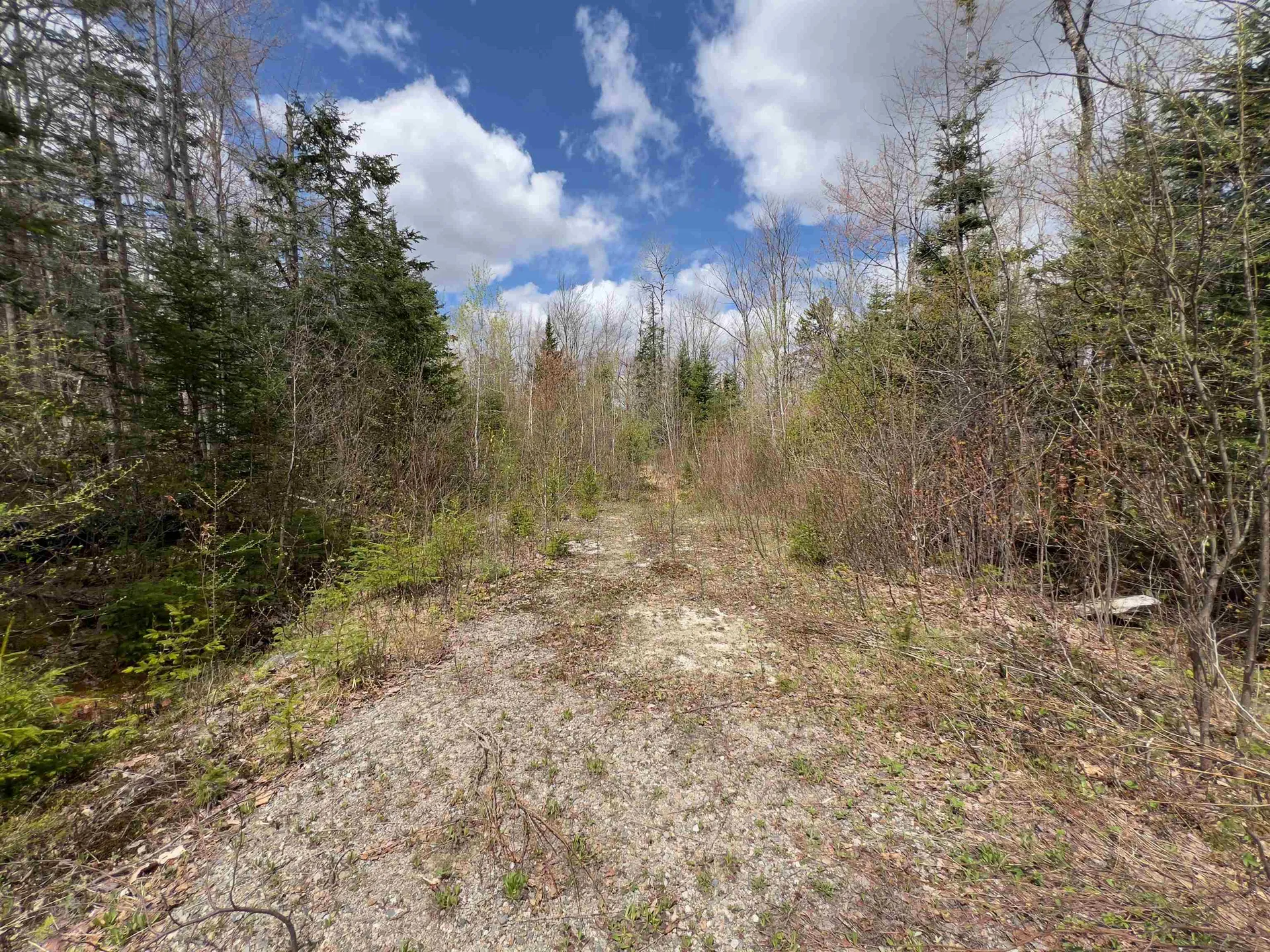 Chipper Lane Milan NH 03588