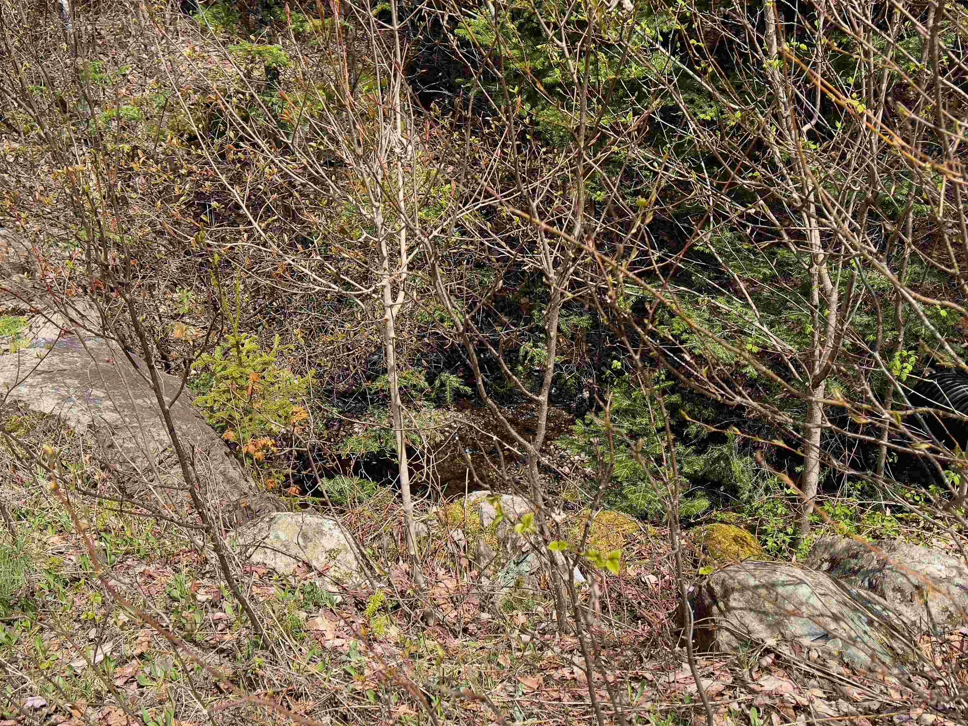 Chipper Lane Milan NH 03588