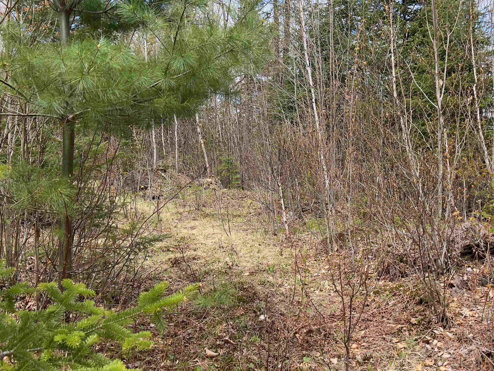 Chipper Lane Milan NH 03588