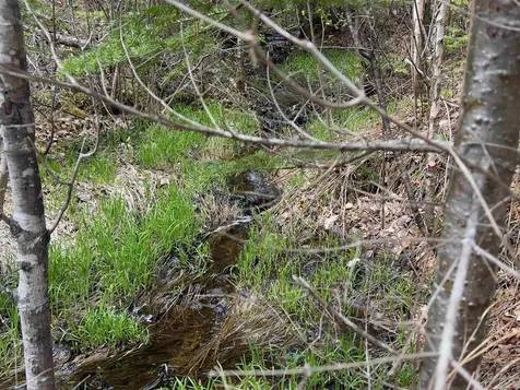 Chipper Lane Milan NH 03588