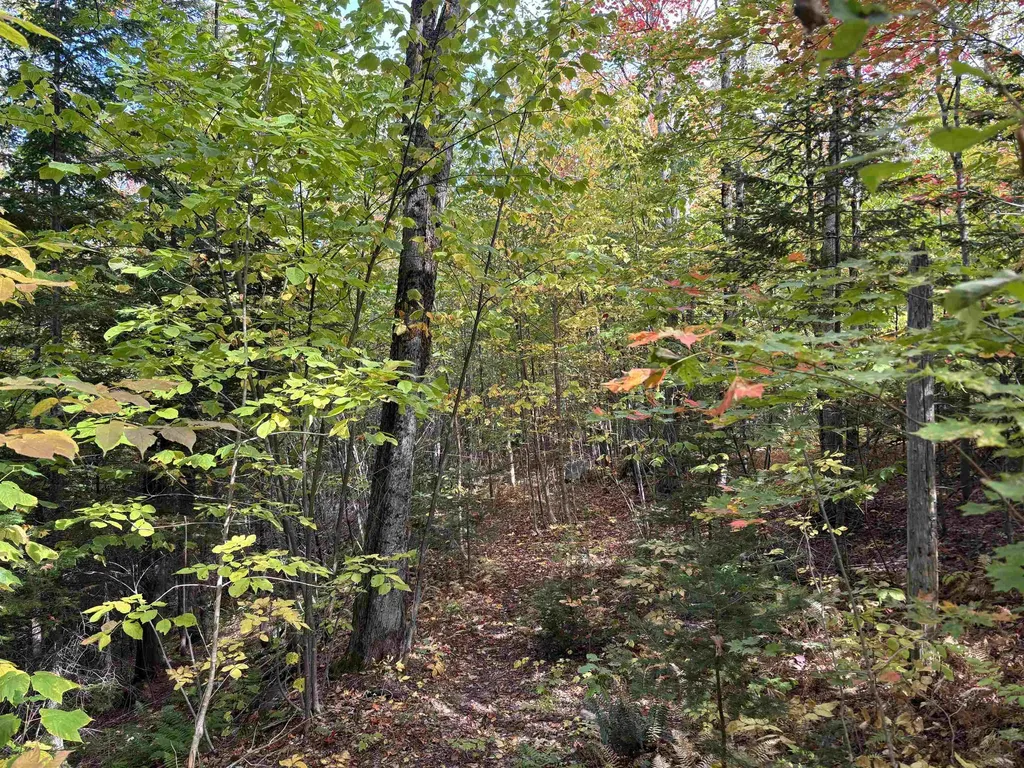 1520 Newark Road Brighton VT 05846