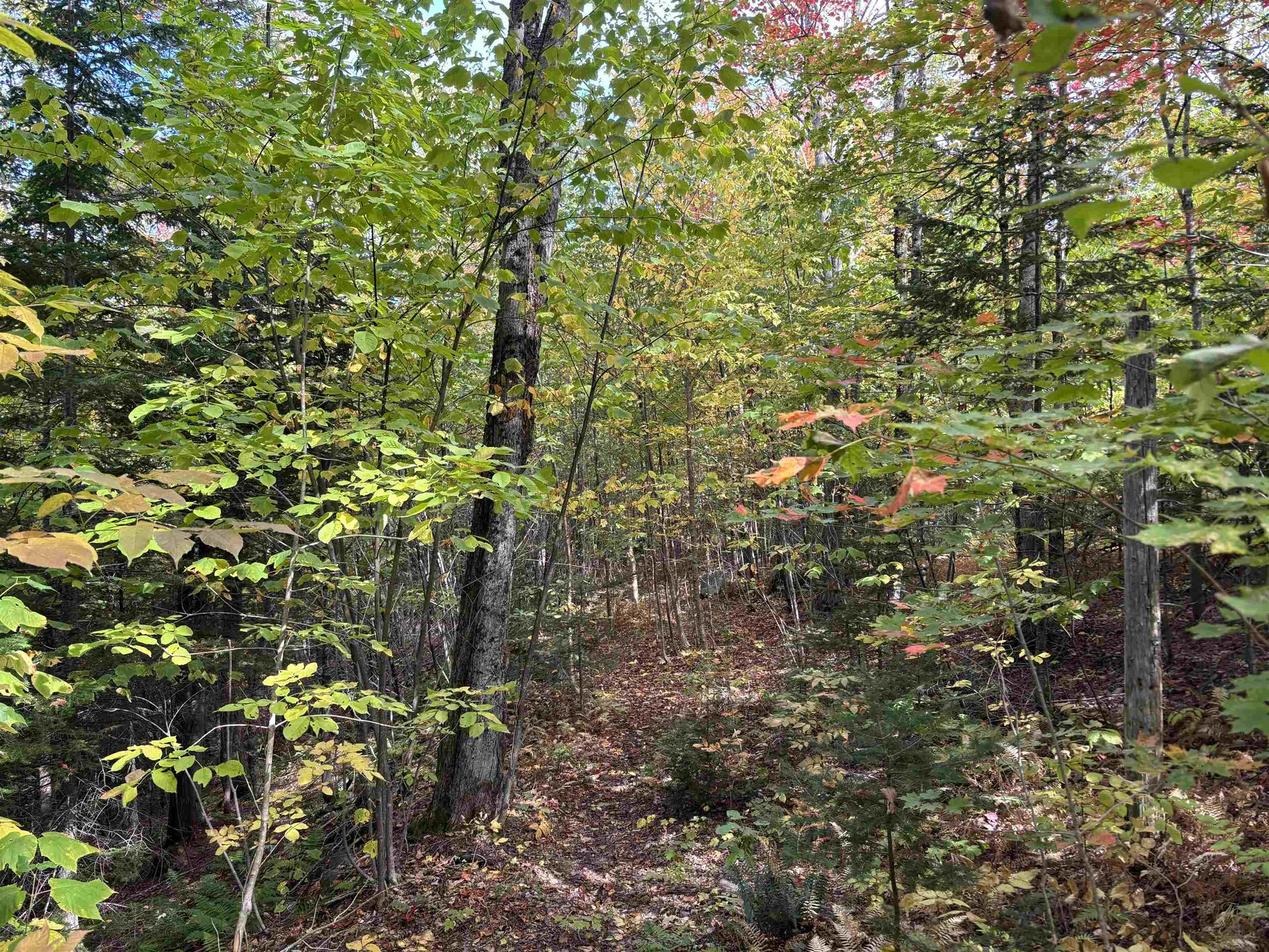 1520 Newark Road Brighton VT 05846