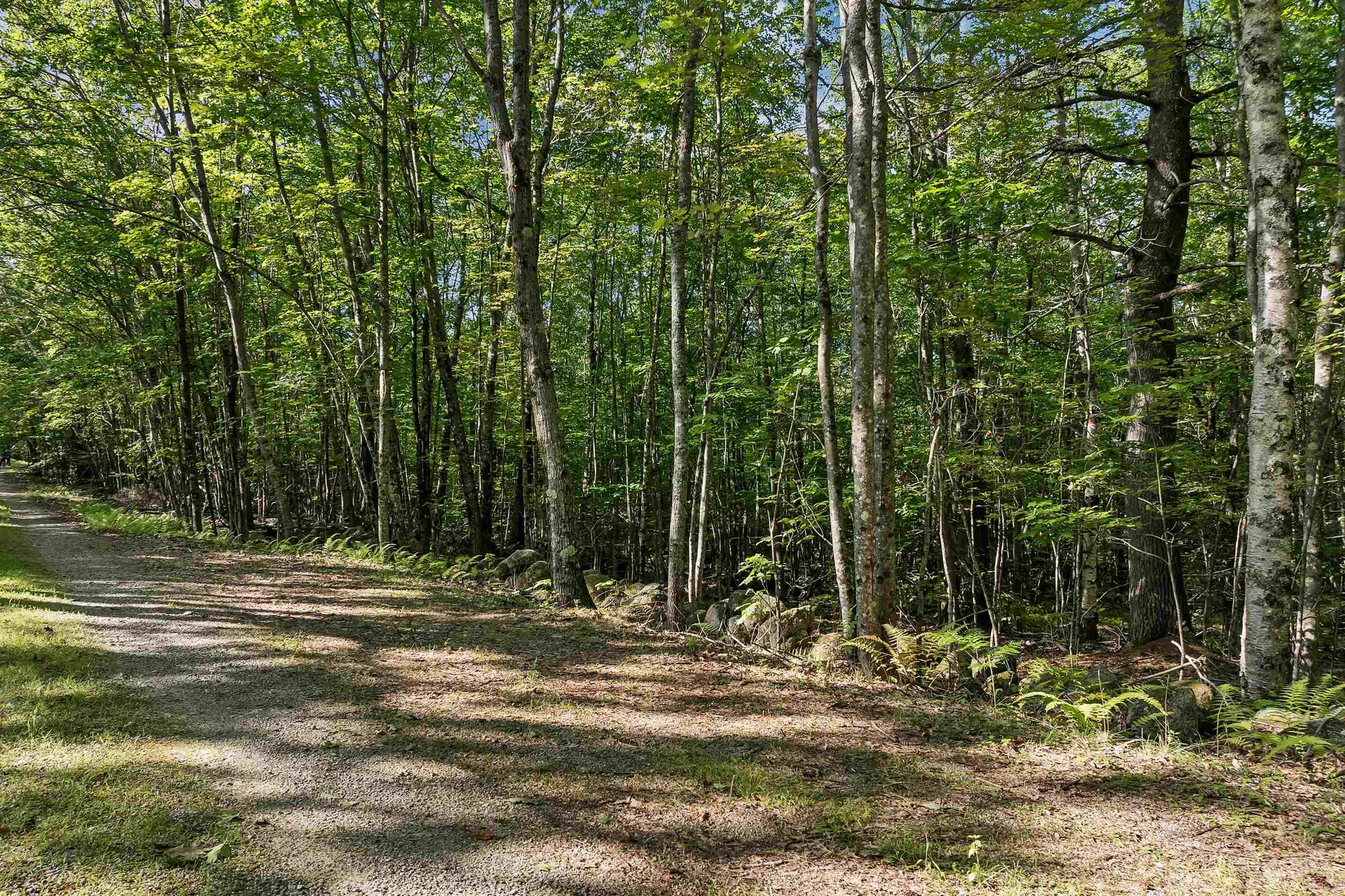 Chamberlain Road Alton NH 03809