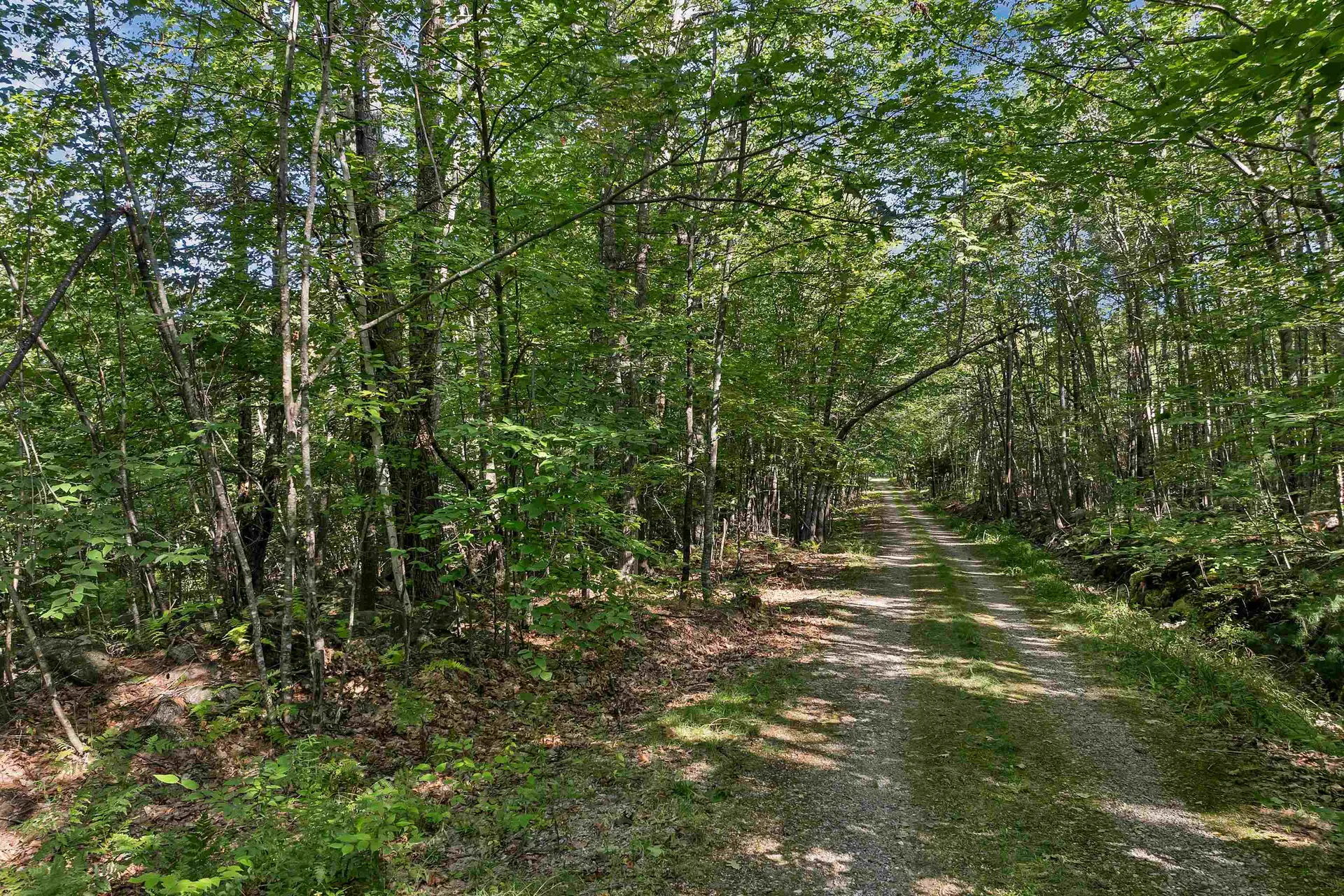 Chamberlain Road Alton NH 03809