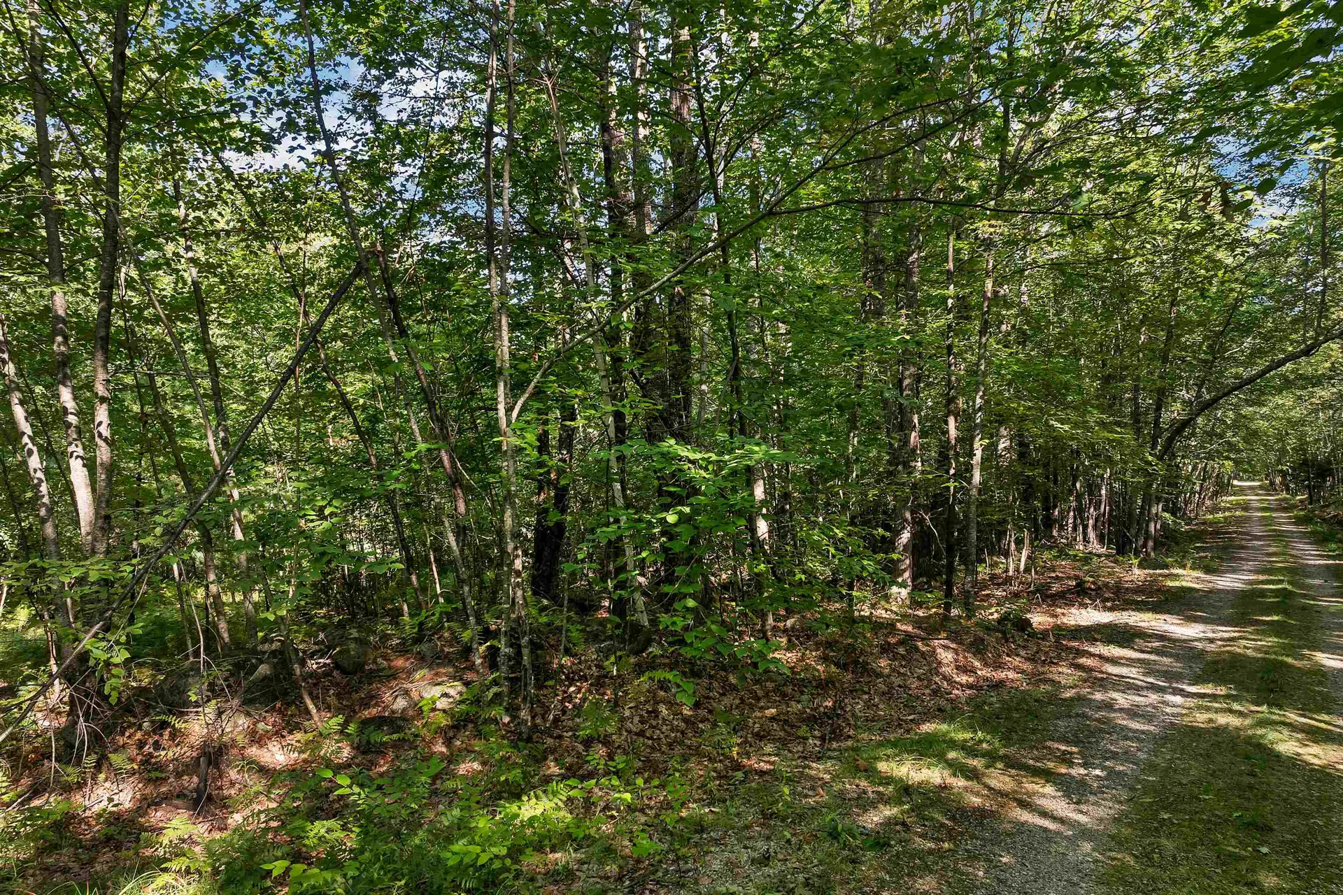 Chamberlain Road Alton NH 03809