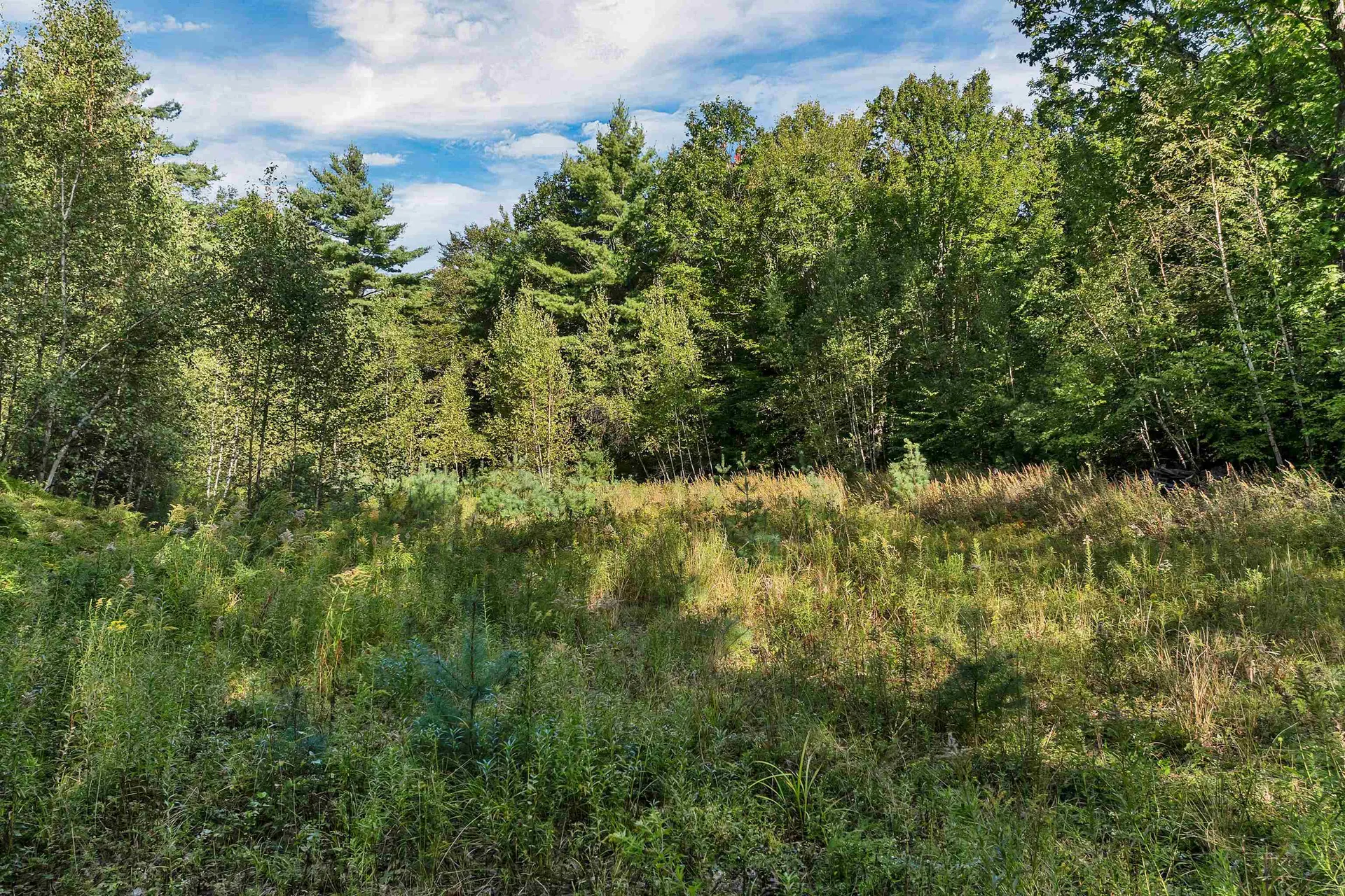 Chamberlain Road Alton NH 03809