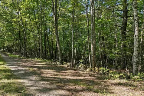 Chamberlain Road Alton NH 03809