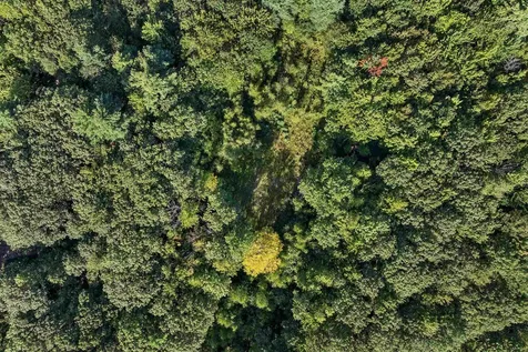 Chamberlain Road Alton NH 03809