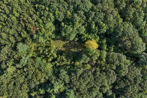 Chamberlain Road Alton NH 03809