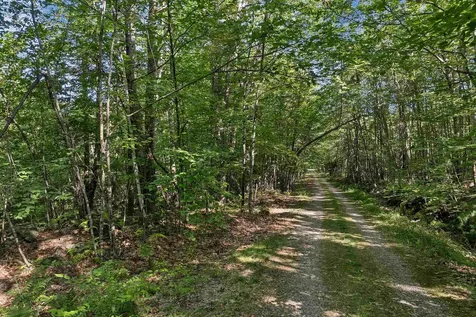 Chamberlain Road Alton NH 03809