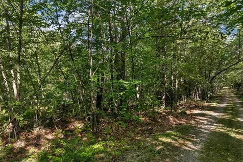 Chamberlain Road Alton NH 03809