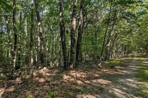 Chamberlain Road Alton NH 03809