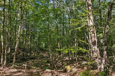 Chamberlain Road Alton NH 03809