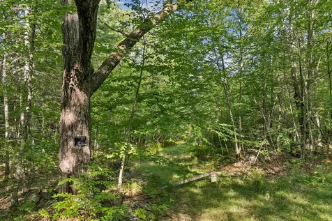 Chamberlain Road Alton NH 03809