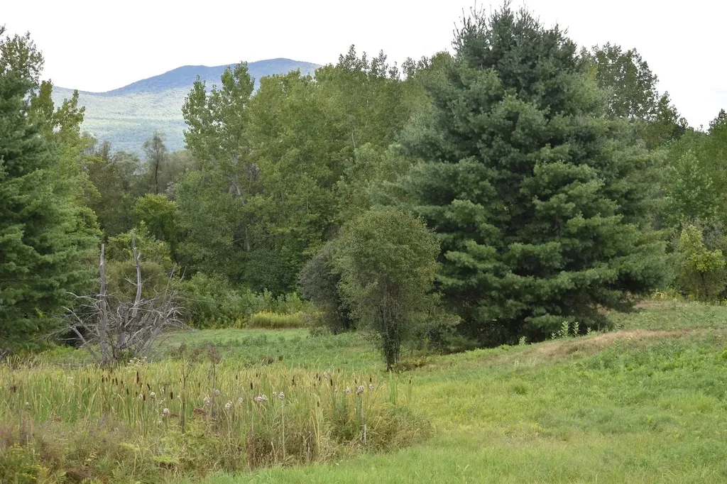 0 Mckinley Avenue Rutland Town VT 05701