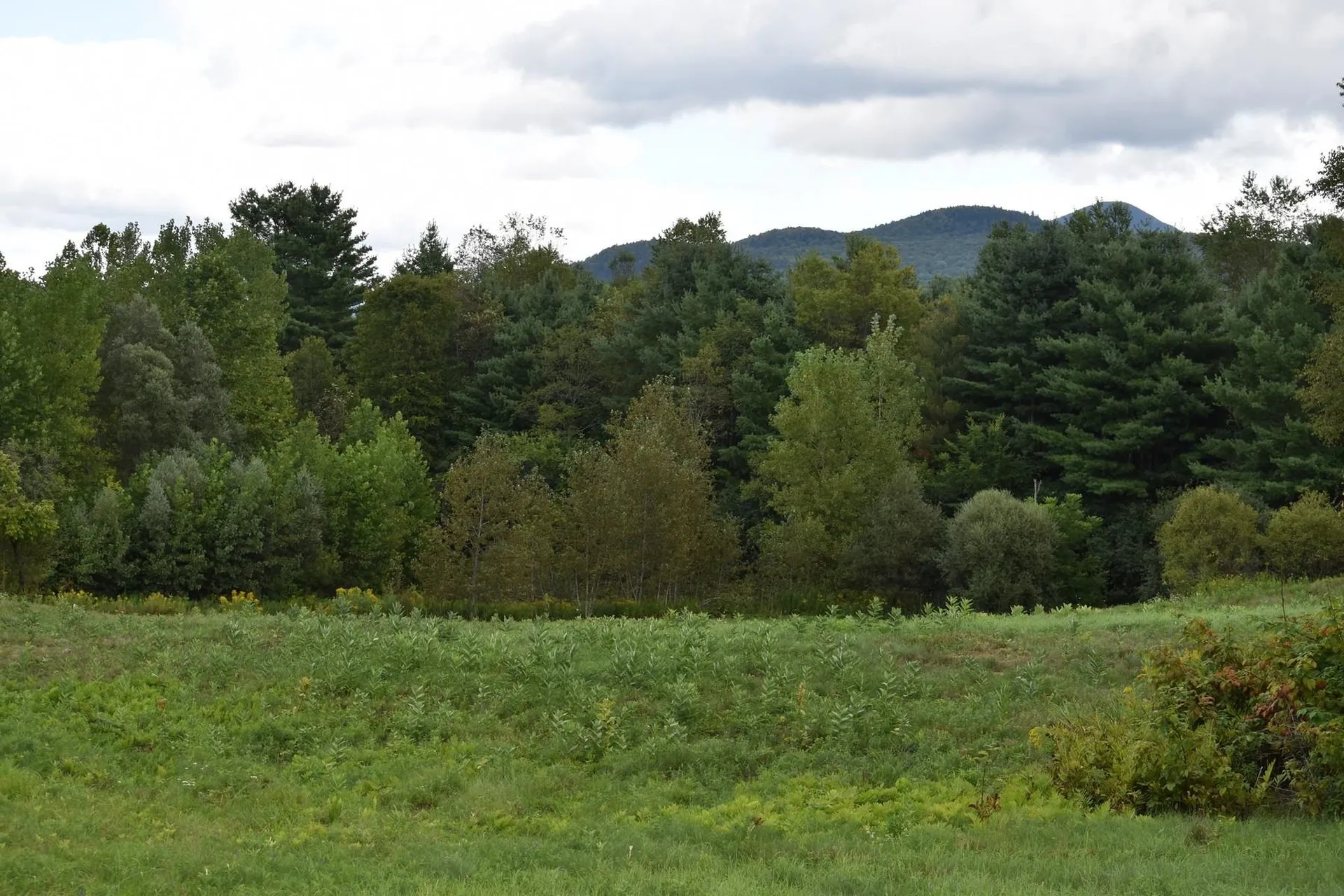 0 Mckinley Avenue Rutland Town VT 05701