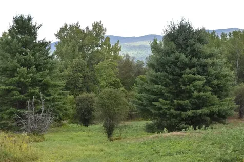 0 Mckinley Avenue Rutland Town VT 05701