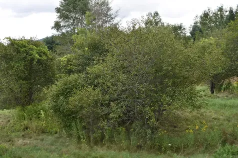 0 Mckinley Avenue Rutland Town VT 05701