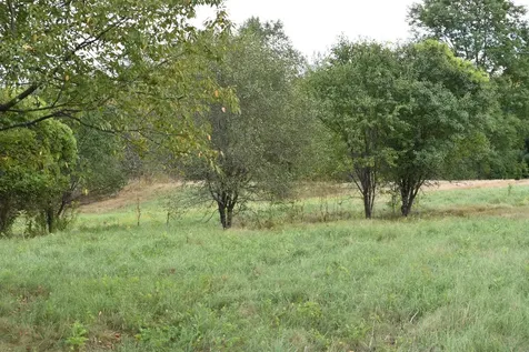 0 Mckinley Avenue Rutland Town VT 05701