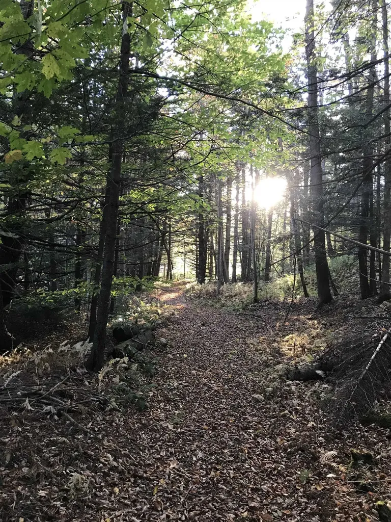 3003 East Warren Road Waitsfield VT 05673