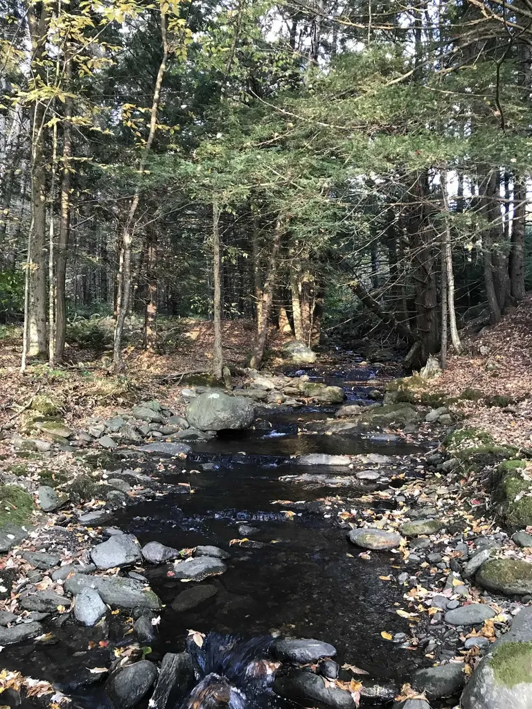 3003 East Warren Road Waitsfield VT 05673