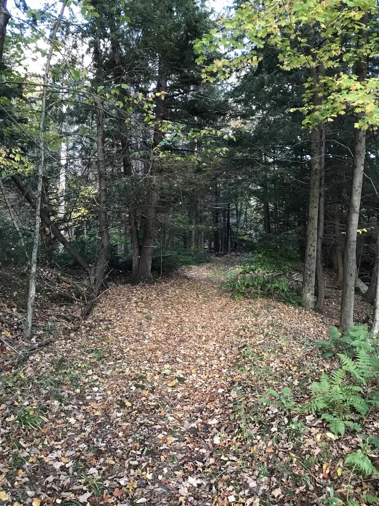 3003 East Warren Road Waitsfield VT 05673