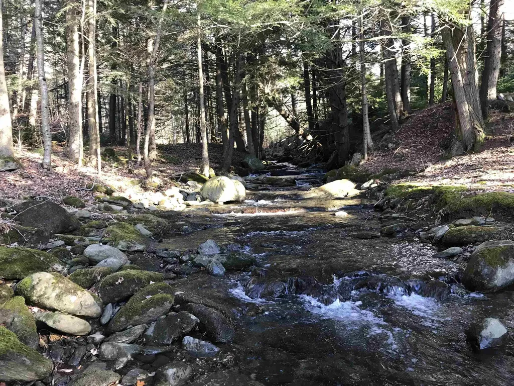 3003 East Warren Road Waitsfield VT 05673