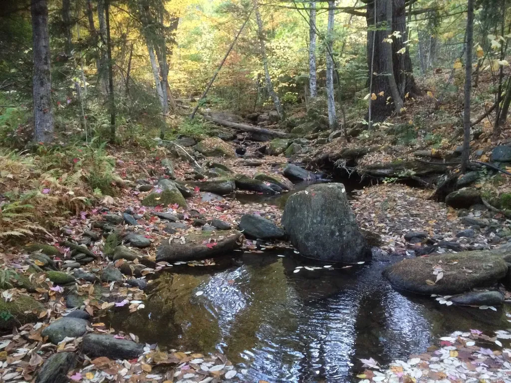 3003 East Warren Road Waitsfield VT 05673