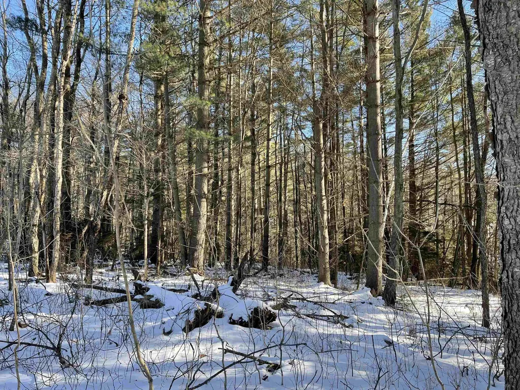 3003 East Warren Road Waitsfield VT 05673