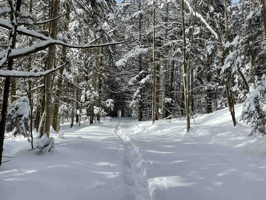 3003 East Warren Road Waitsfield VT 05673