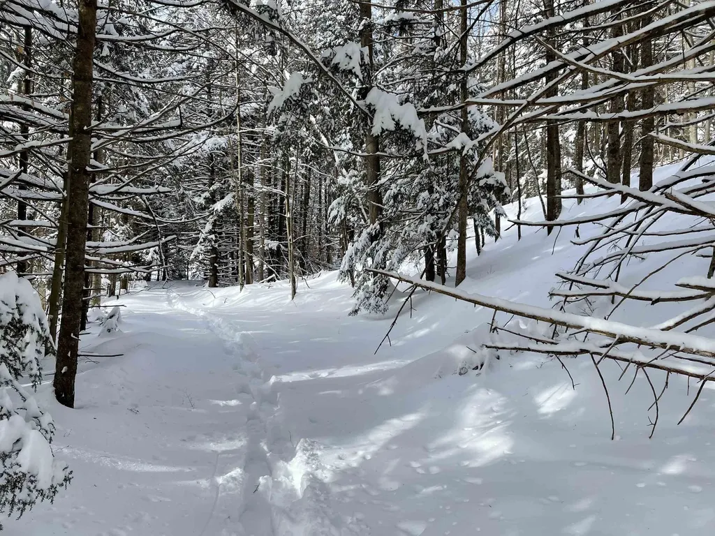 3003 East Warren Road Waitsfield VT 05673