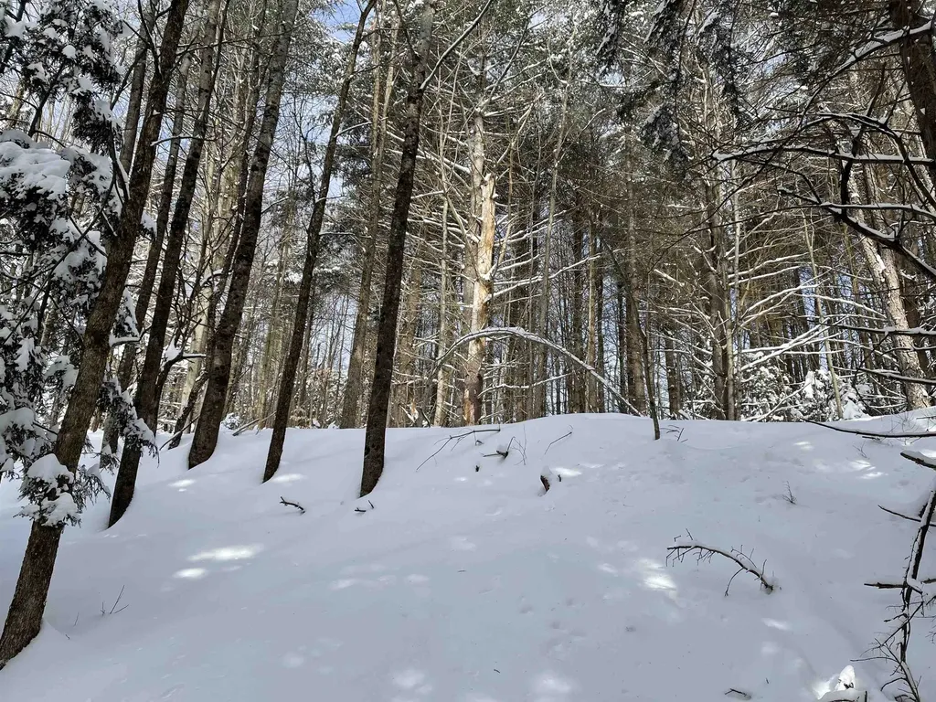 3003 East Warren Road Waitsfield VT 05673