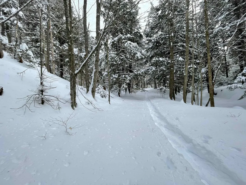 3003 East Warren Road Waitsfield VT 05673