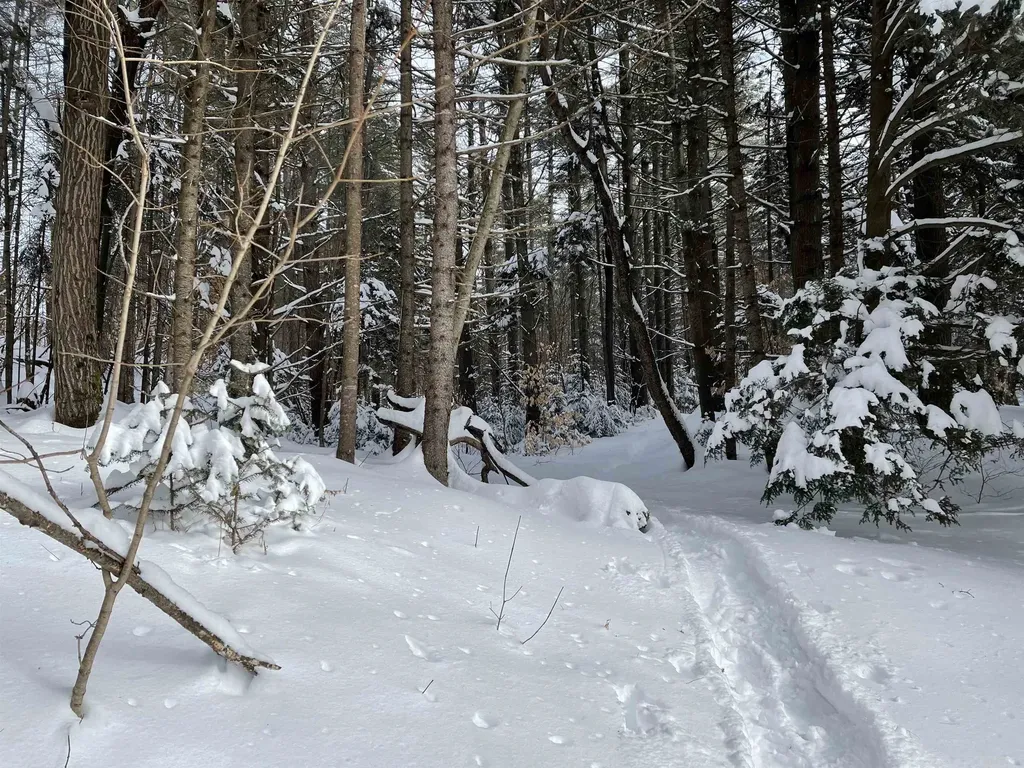 3003 East Warren Road Waitsfield VT 05673