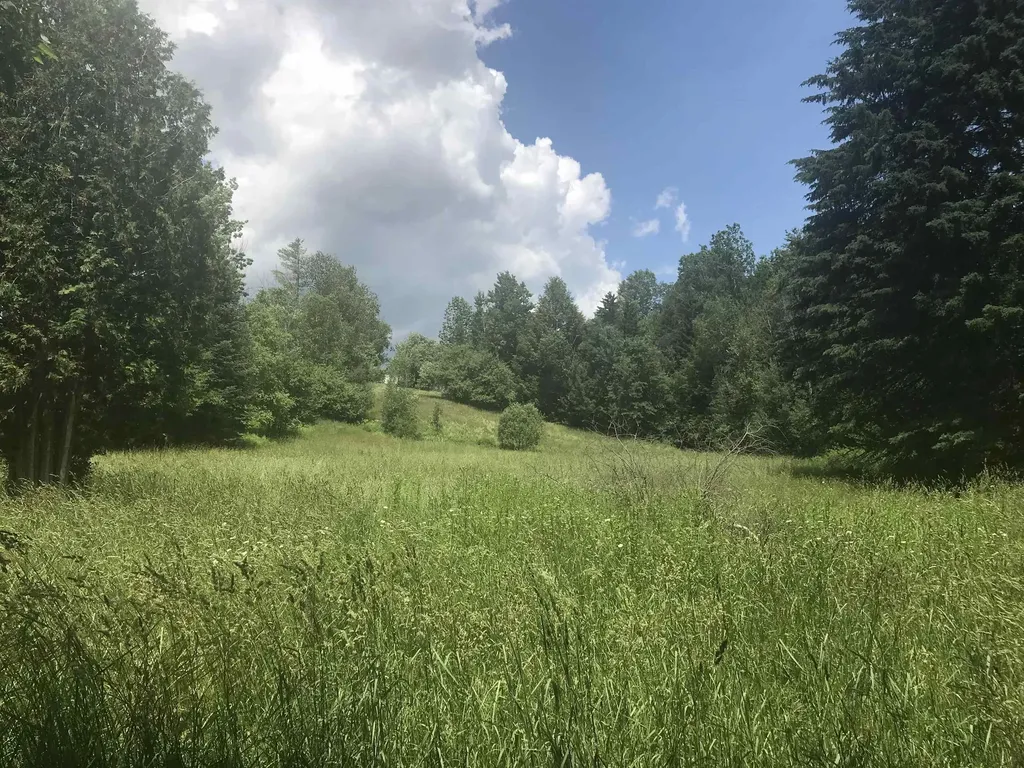 3003 East Warren Road Waitsfield VT 05673