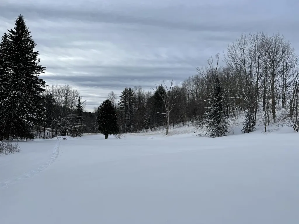 3003 East Warren Road Waitsfield VT 05673