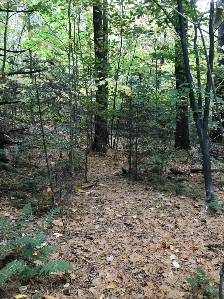 3003 East Warren Road Waitsfield VT 05673