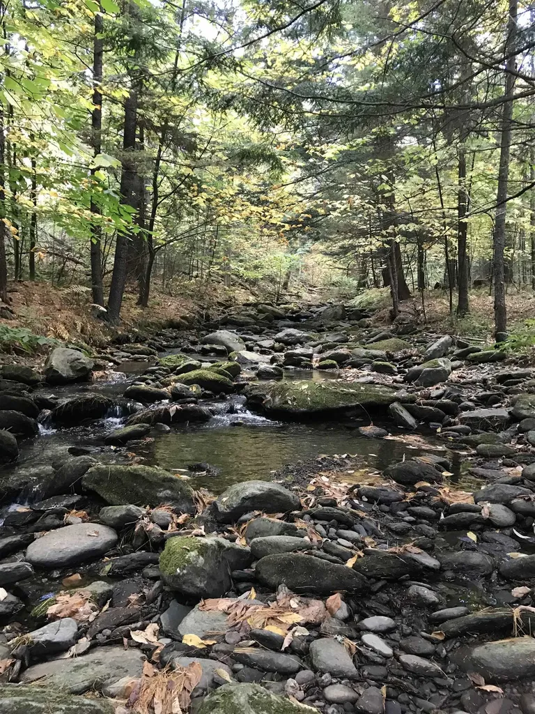 3003 East Warren Road Waitsfield VT 05673